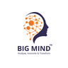 Bigmind Logo Loading