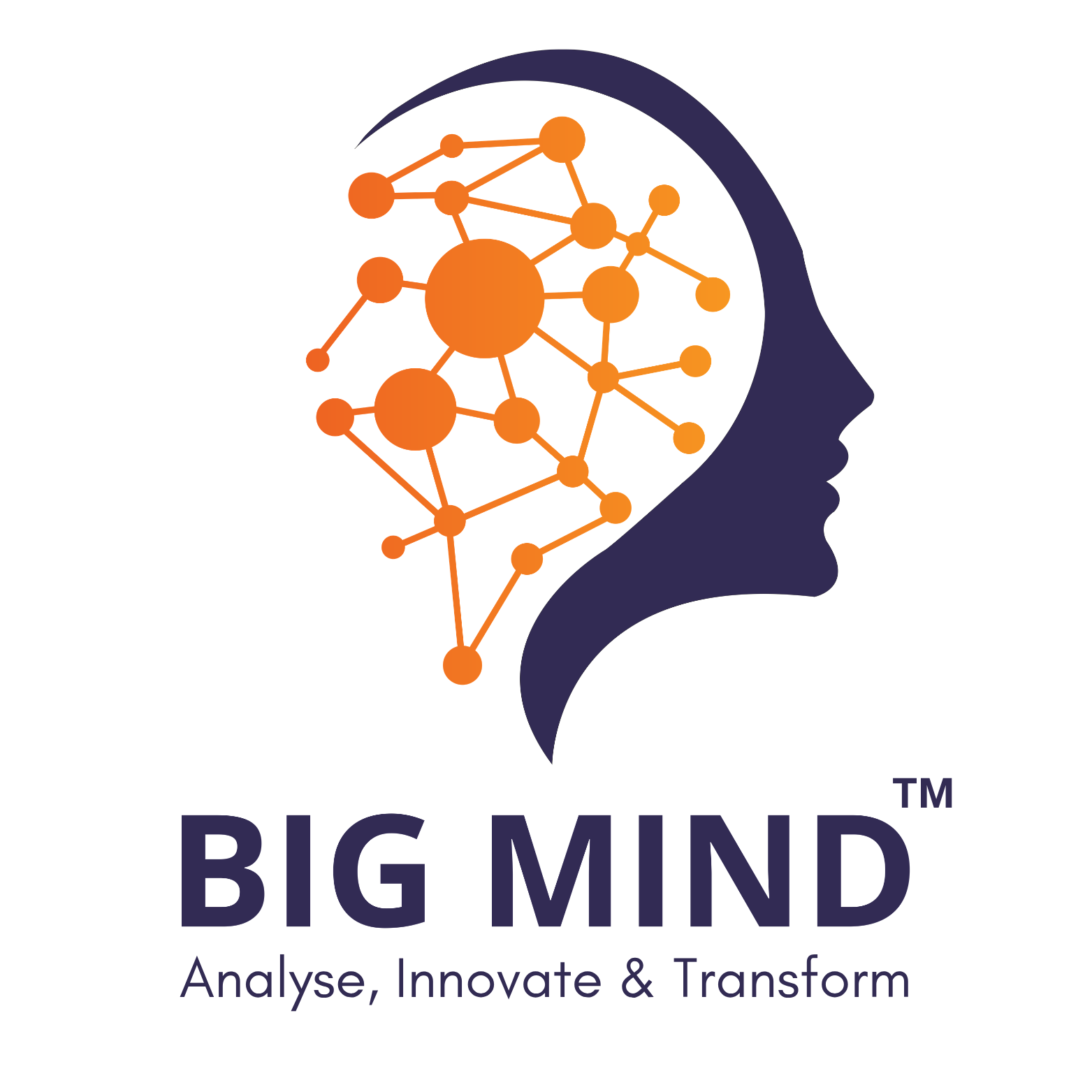 Bigmind logo